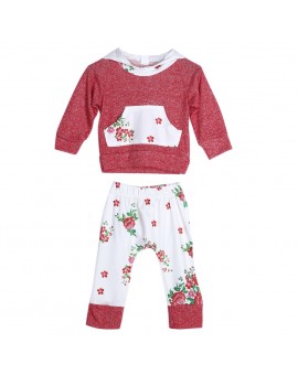Flower Print Baby Clothing Set Toddler Kids Long Sleeve Hoodie Tops + Floral Pants Outfit Infant Spring Clothes